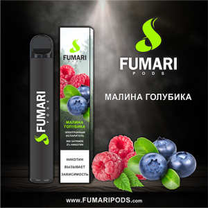 Одноразовая электронная сигарета FUMARI PODS Raspberry Blueberry (Малина Голубика) 800 puff