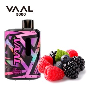 Одноразовая электронная сигарета VAAL Mixed Berries (Ягодный Микс) 5000 puff