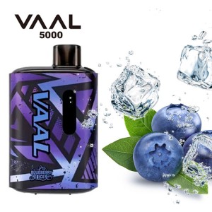 Одноразова електронна сигарета VAAL Blueberry Ice (Чорниця Лід) 5000 puff