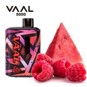 Одноразова електронна сигарета VAAL Lush Raspberry (Кавун Малина) 5000 puff