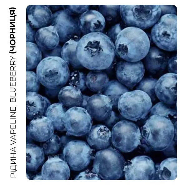 Рідина VAPELINE Акциз Blueberry (Чорниця) 12 мл 10 мг
