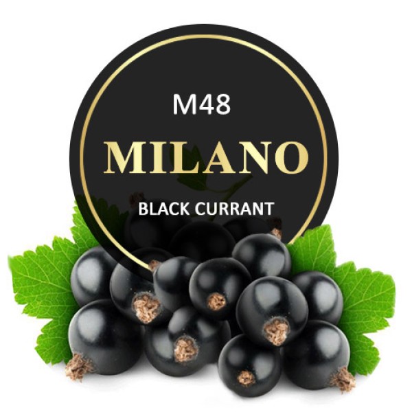 Тютюн Milano Black Currant M48 100 гр