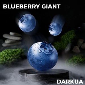 Тютюн DARKUA Blueberry Giant (Чорниця) 100 гр