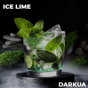 Тютюн DARKUA Ice Lime (Лайм Лід М'ята) 100 гр