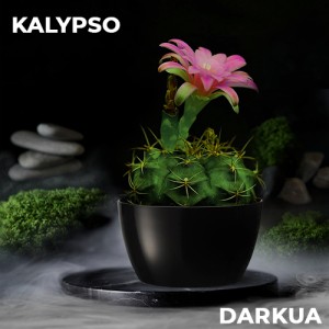 Тютюн DARKUA Kalypso (Кактус) 100 гр