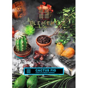 Табак Акциз Element water line Cactus Fig 40 гр