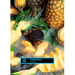 Тютюн Акциз Element water line Pineapple 40 гр