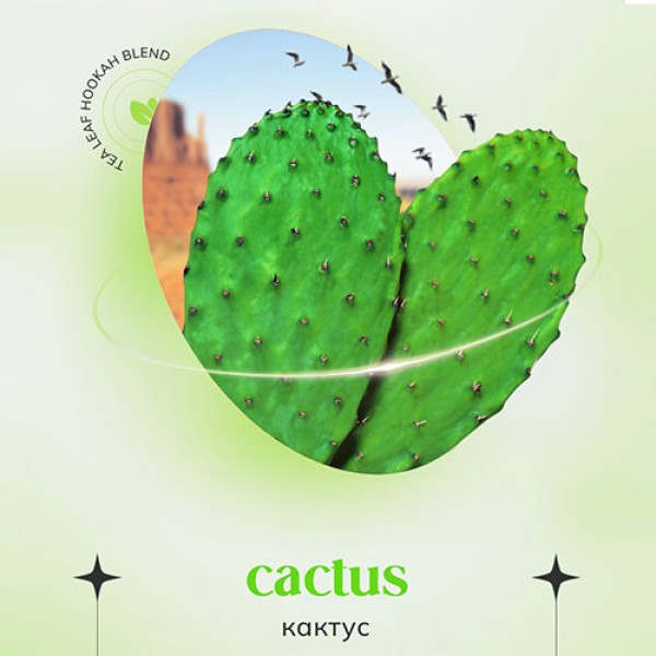 Безтютюнова суміш Indigo Cactus (Кактус) 100 гр