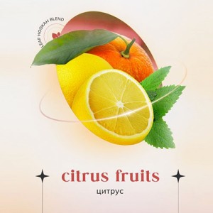 Безтютюнова суміш Indigo Citrus Fruits (Цитрус М'ята) 100 гр