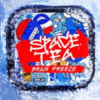 Чайна суміш Space Tea Brain Freeze (Мороз) 100 гр
