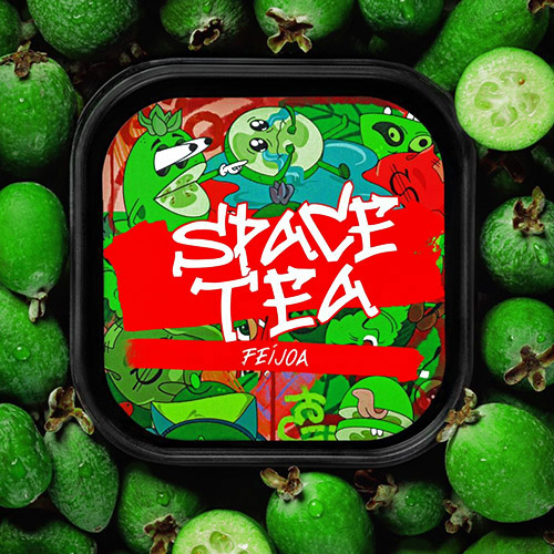 Чайная смесь Space Tea Feijoa (Фейхоа) 250 гр