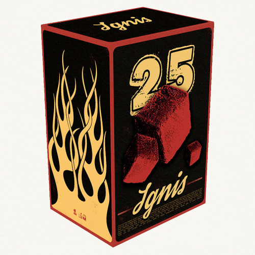 Вугілля Ignis 1кг 72 кубика